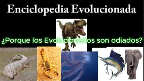 Porque Los Evolucionados Son Odiados YouTube