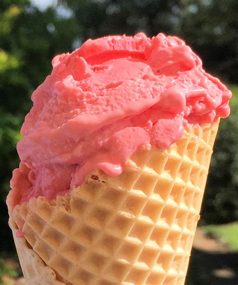 Summer Berry Ice Cream Recipe Cuisine Fiend