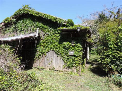 空き家情報 四国・高知のはしっこで住みっコ暮らし。｜高知県幡多郡大月町移住公式サイト