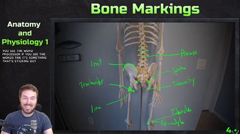 Condyle Bone Marking