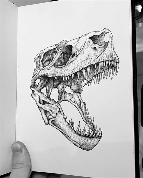 Trex Skull By Alex Fuchs Zeichnen Skizzen Dinosaurier Skelett