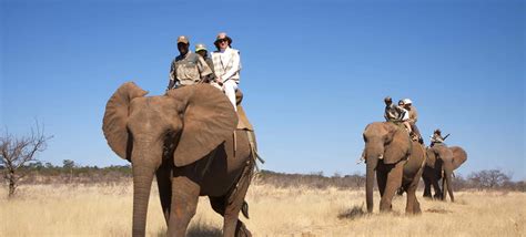 Elephant Back Safari | Visit Victoria Falls