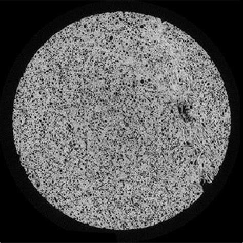 Multi-Scale Micro-CT Analysis - Blue Scientific