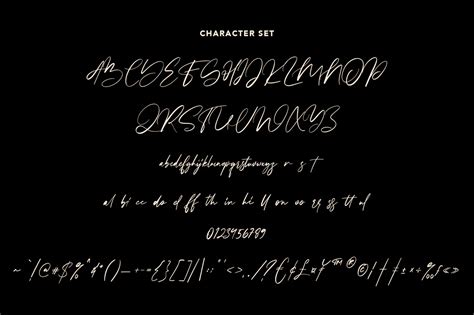 Steffyray Signature Font - Dfonts