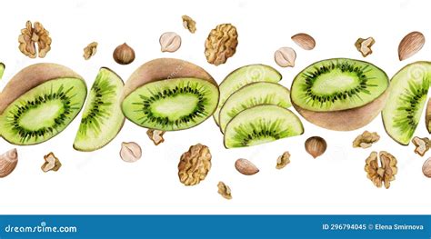 Hand Drawn Watercolor Sliced Kiwi Fruit And Nuts Mix For Diet Healthy