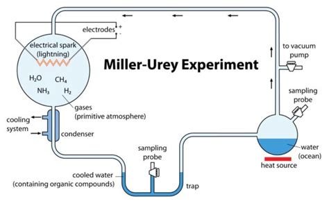 Scientists recreated classic origin-of-life experiment and made a new ...