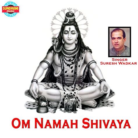 Anuradha paudwal om namah shivaya mp3 download free - mentalvsera