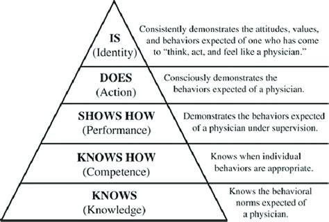 The Amended Version Of Miller S Pyramid Of Clinical Competence