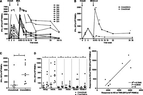 Magnitude Of T Cell Responses To Hcv Ns After Vaccination A To D