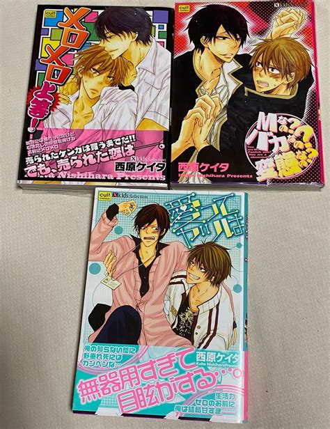 Blコミック Bl ボーイズラブ 少女 漫画 西原ケイタ 3冊まとめ｜paypayフリマ