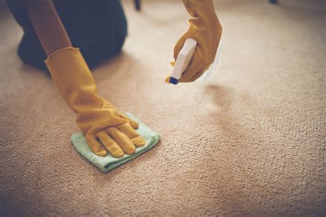 Your Affordable Carpet Cleaning Options Buy Hire Or Rent Quality