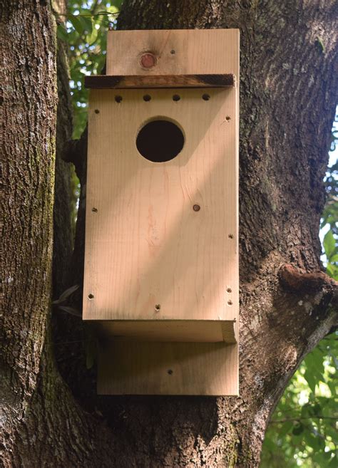 Owl Nest Box Building Chikaming Open Lands