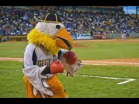 El aguilita la mascota de las águilas se burla del licey licey tigres