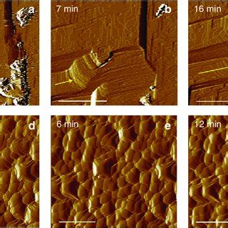 Time Resolved In Situ AFM Images Of The Dissolution Of Calcite Ac