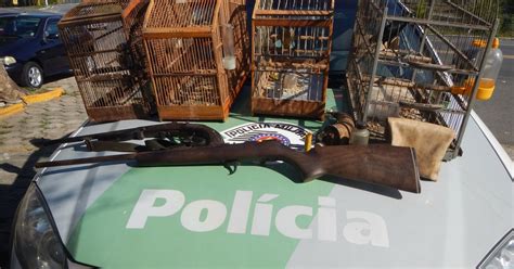 G1 Polícia Resgata Quatro Aves Mantidas Em Cativeiro Em Cruzeiro Sp Notícias Em Vale Do