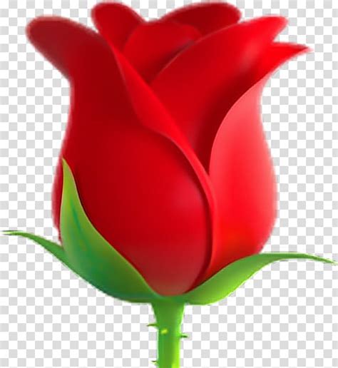 Red Rose Illustration Emoji Rose Symbol Emoticon Sticker Emoji