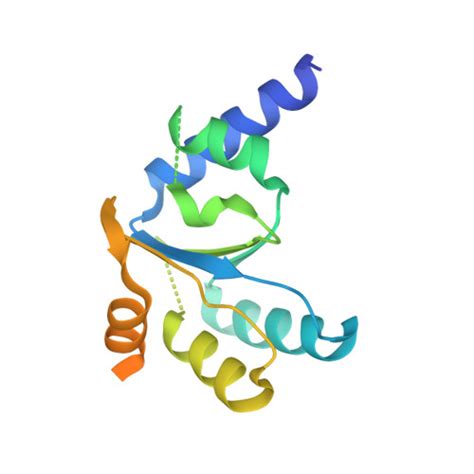 Rcsb Pdb 7as8 Bacillus Subtilis Ribosome Quality Control Complex