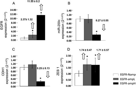 Real Time Rt Pcr Analysis Of Egfr Mir 200c Cdh1 And Zeb1 Expression