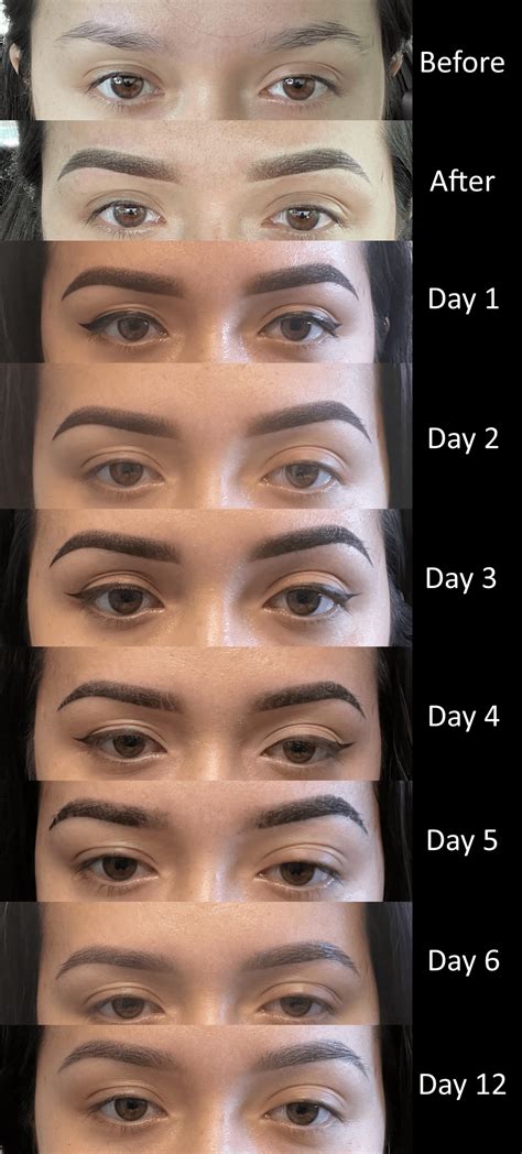 Powder Brow Healing Progress R Microblading