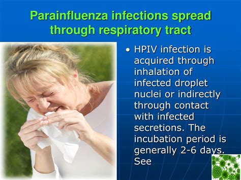 Ppt Parainfluenza Virus Powerpoint Presentation Free Download Id 7791