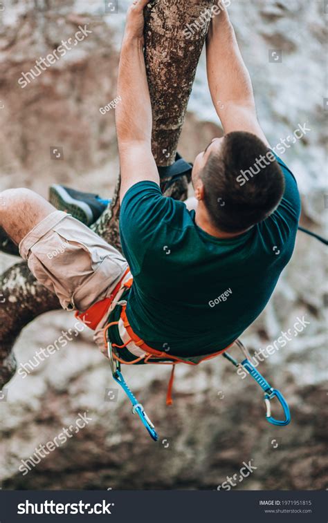 Young Man Climbing Tree Forest Stock Photo 1971951815 Shutterstock