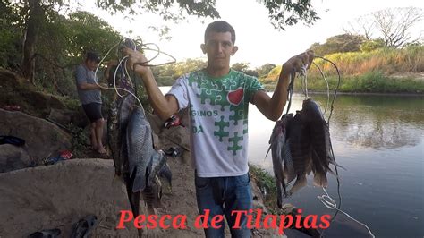 Pescando Tilapias Gigantes Youtube