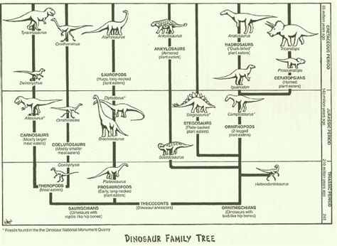 Dinosaur Family Tree, Dinosaur NM