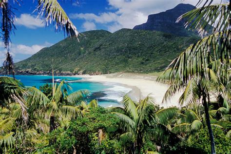 Blinky Beach | Lord Howe Island Australia