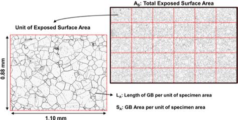 Optical Microscopy Image Of The Network Of Corroded Grain Boundaries Download Scientific