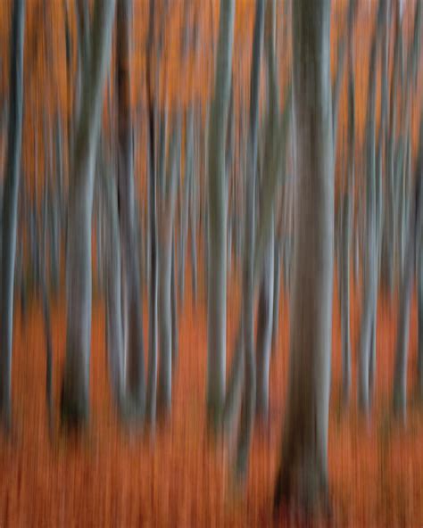 Autumn Abstract Japanese Landscape ICM Photograph By Jordan McChesney