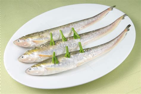 Saury Picture And HD Photos | Free Download On Lovepik