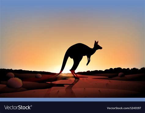 A sunset with kangaroo Royalty Free Vector Image