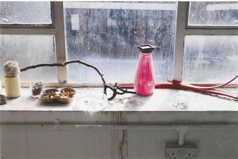 What Is Wolfgang Tillmans Still Life Series All About