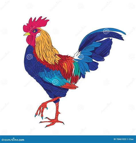 Colored Rooster Stock Vector Illustration Of Vintage 78461022