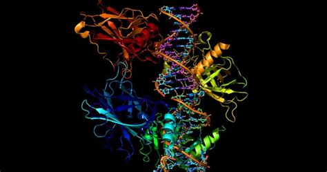 Ways To Determine The Protein Structure • Psi Structural Genomics