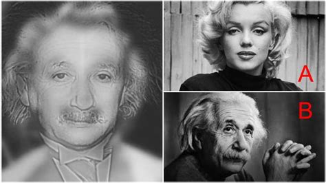 Do You See Marilyn Monroe Or Albert Einstein This Reveals How Good