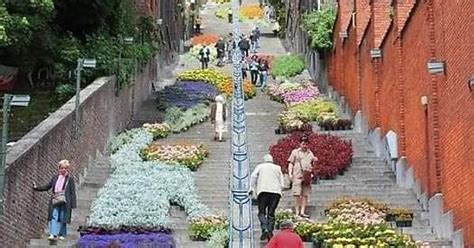 Escaleras Adornadas Con Macetas En Lieja Bélgica Album On Imgur