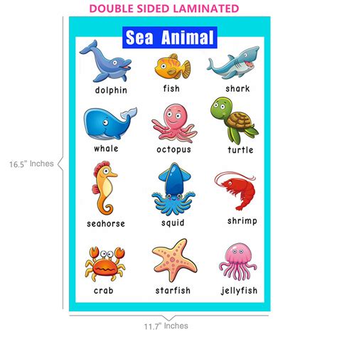 animal features preschool 5