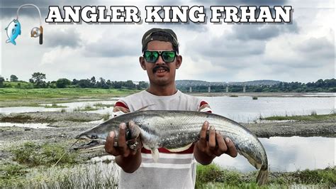 Big Monster Wallago Attu Catfish Hunting Incredible Big Patan Fish