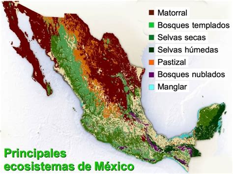 Ecosistemas De Mexico Tipos Y Caracteristicas Toda Materia Images | Hot Sex Picture