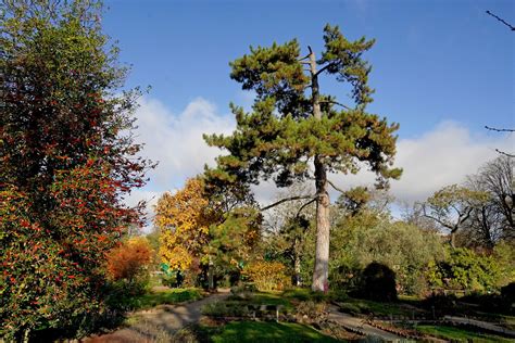 Grandes Serres Du Jardin Des Plantes Paris France Flickr