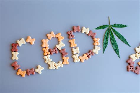 Best Cbd Dog Treats And Chews Top 7 Brands Of 2022 D Magazine