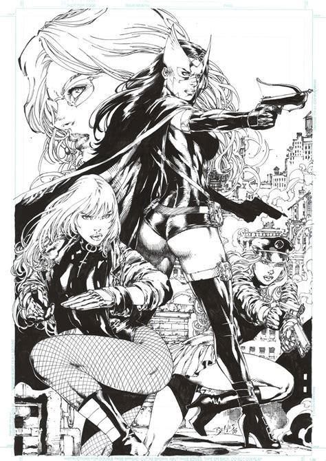 Birds Of Prey Commission By Ed Benes In Roland Lim S Commissions Pin