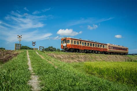 いすみ鉄道撮影地：国吉駅〜上総中川駅「第二五之町踏切」 鉄道撮影地ログ（鉄ログ）