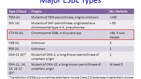 Types Of Beta Lactamases