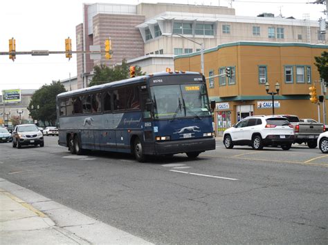 greyhound to atlantic city from baltimore 7