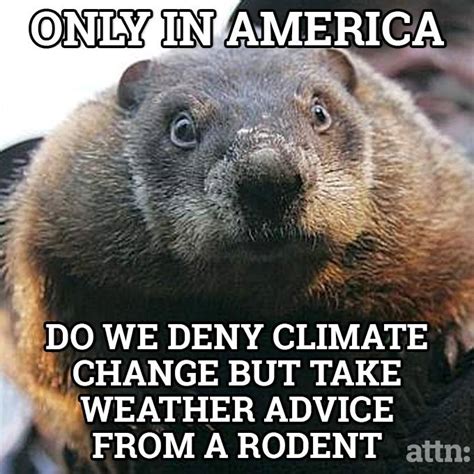 Happy Groundhog Day Quotes. QuotesGram