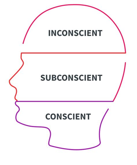 Inconscient Subconscient Conscient Pourquoi C Est Li La Loi D