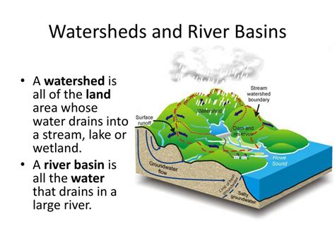 Watershed Tributary Diagram