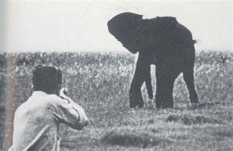 George Orwell – Shooting An Elephant | Genius